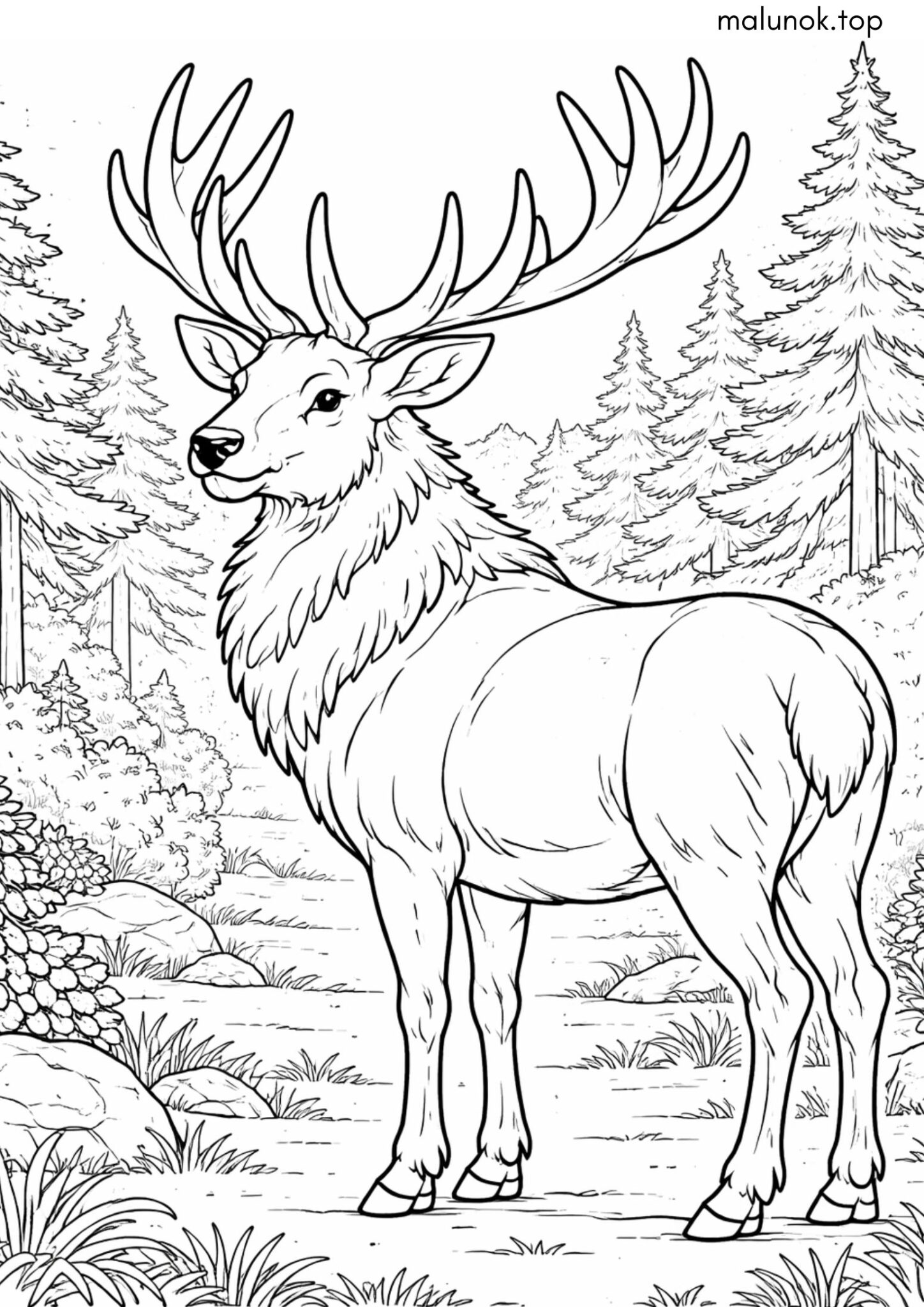 Раскраска Олень у лісі
