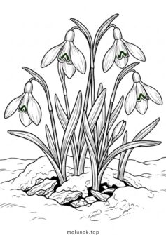 Проліски з-під снігу