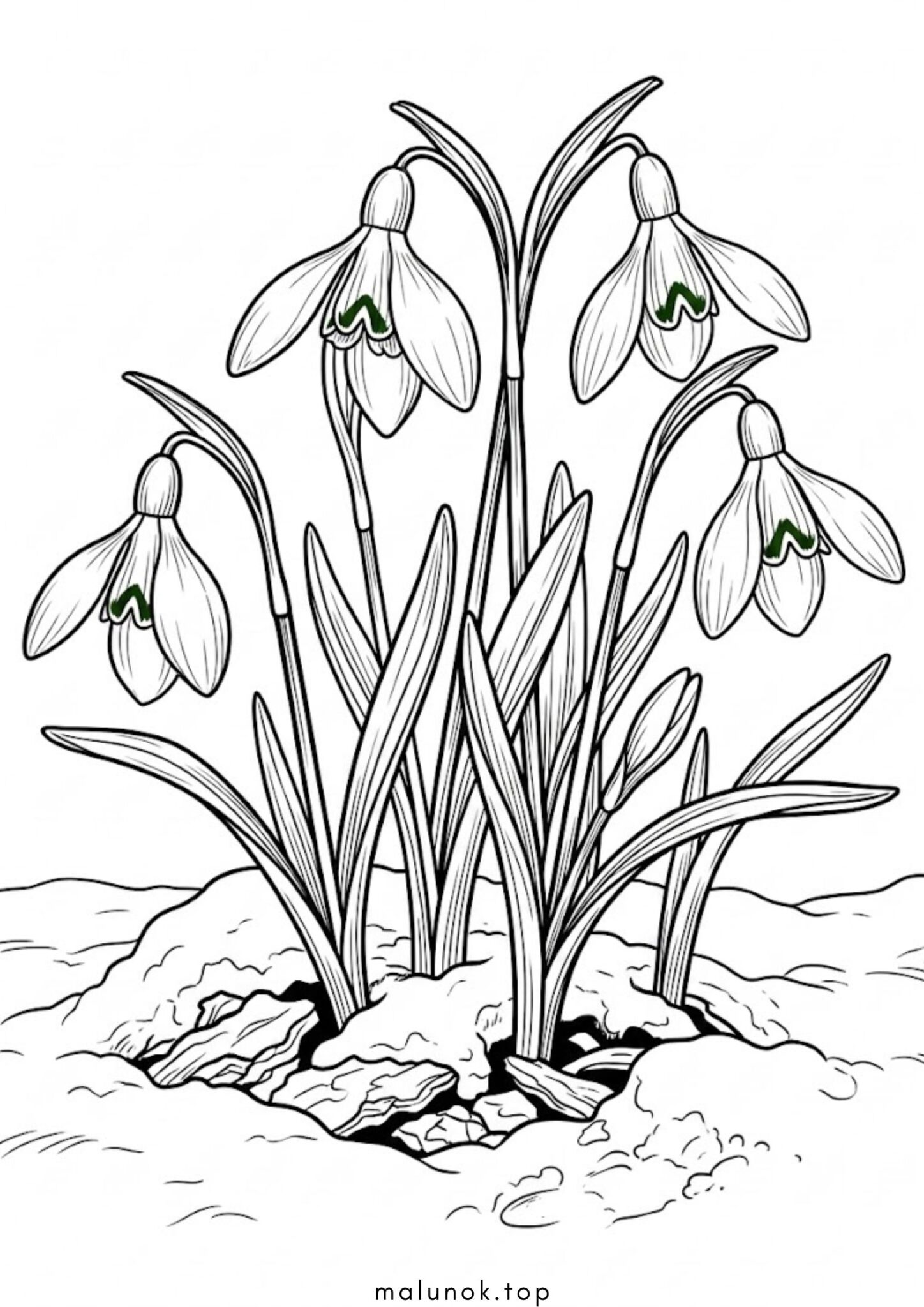 Раскраска Проліски з-під снігу