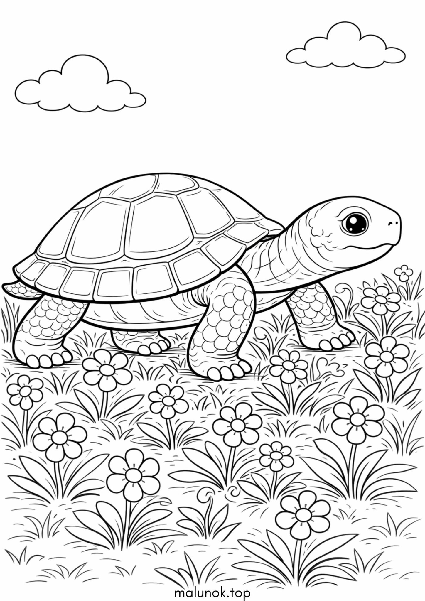 Раскраска Проста черепашка