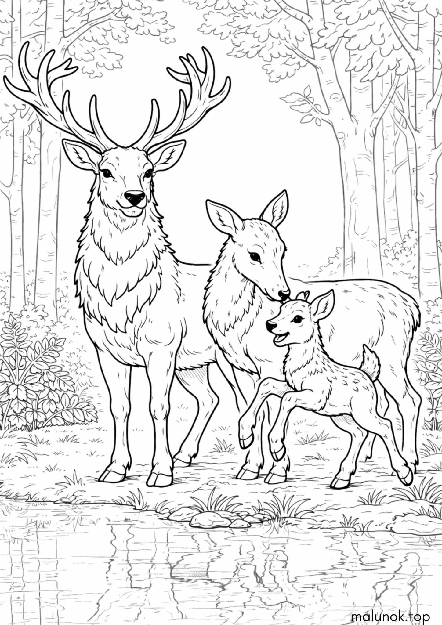 Раскраска Родина оленів