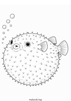 Риба-фугу (Скелезуб)