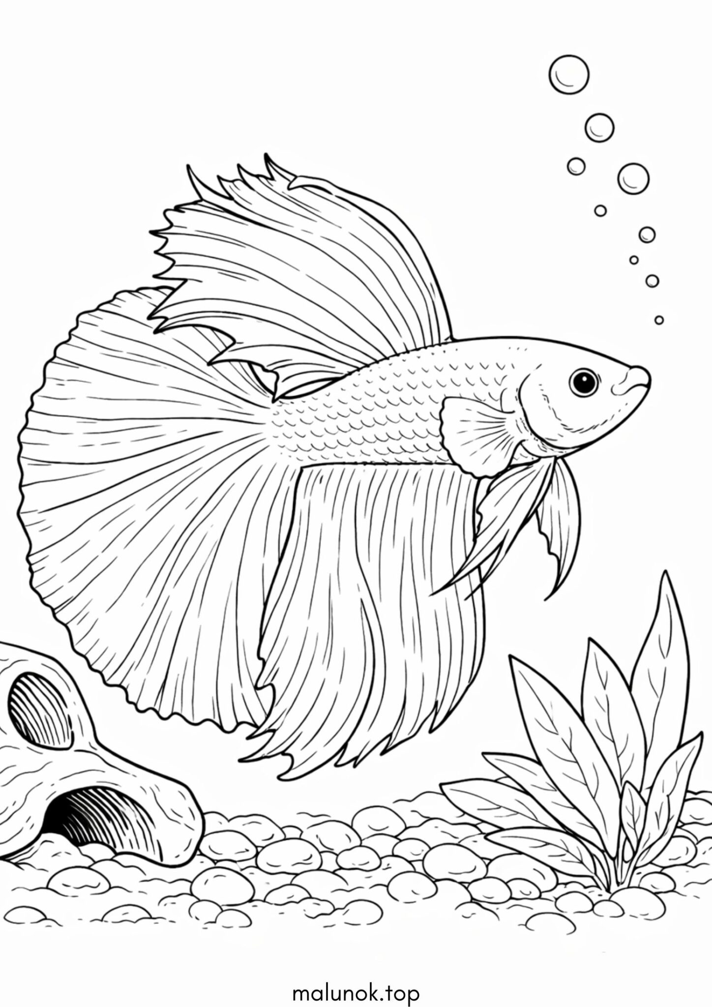 Розмальовка Риба-півник (Betta Fish) Розмальовка Риба-півник (Betta Fish)