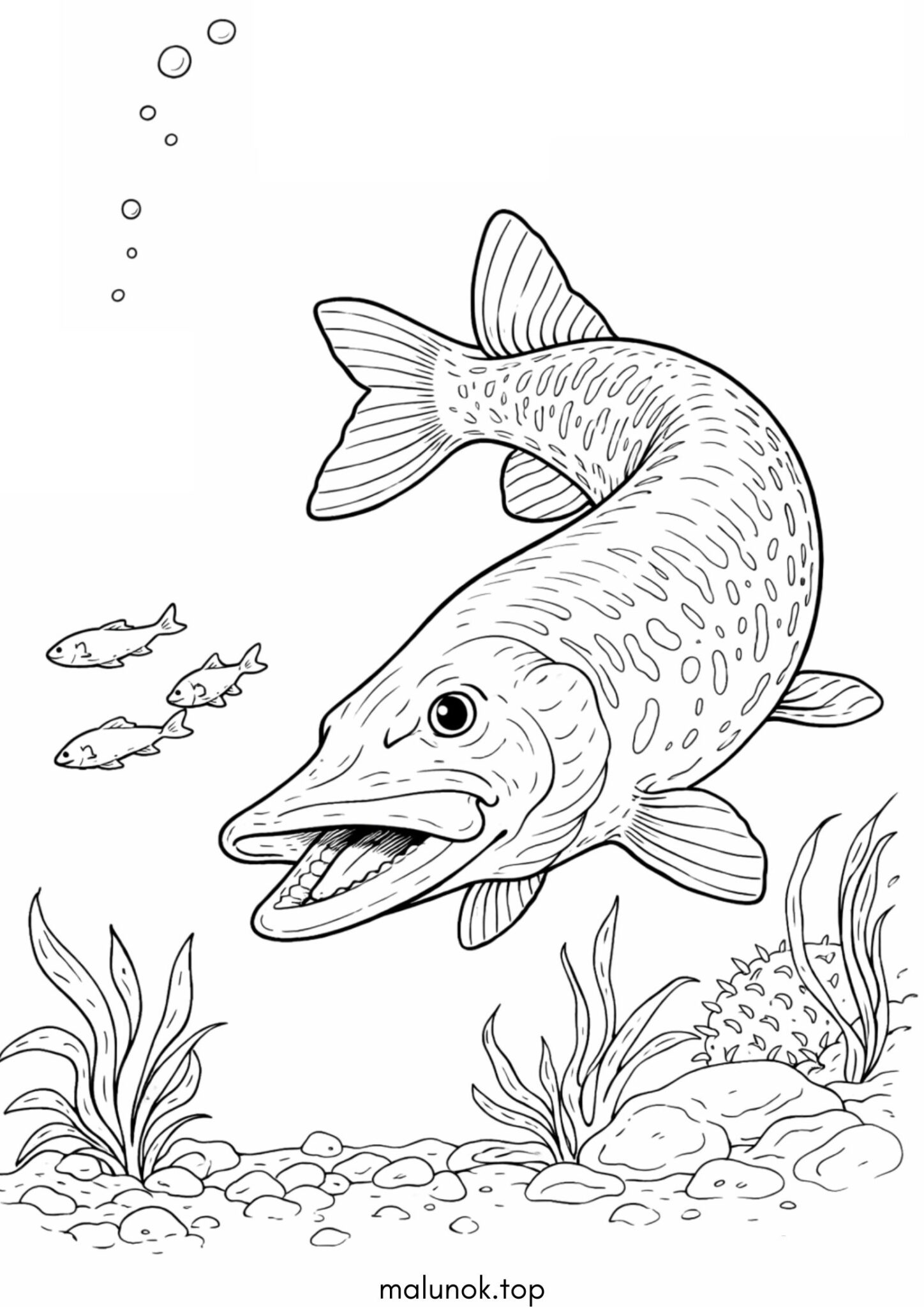 Розмальовка Риба щука Розмальовка Риба щука