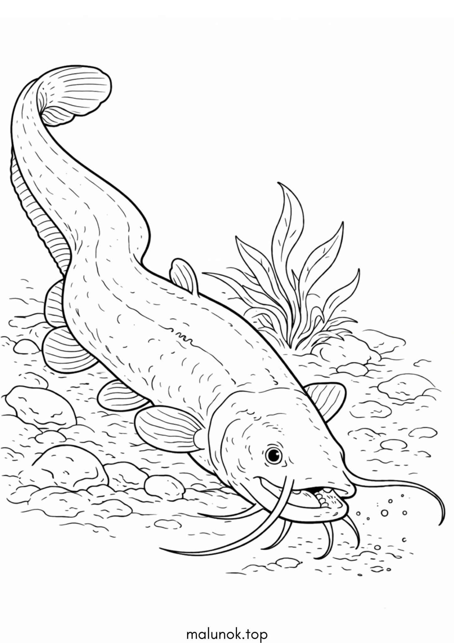 Розмальовка Риба сом Розмальовка Риба сом