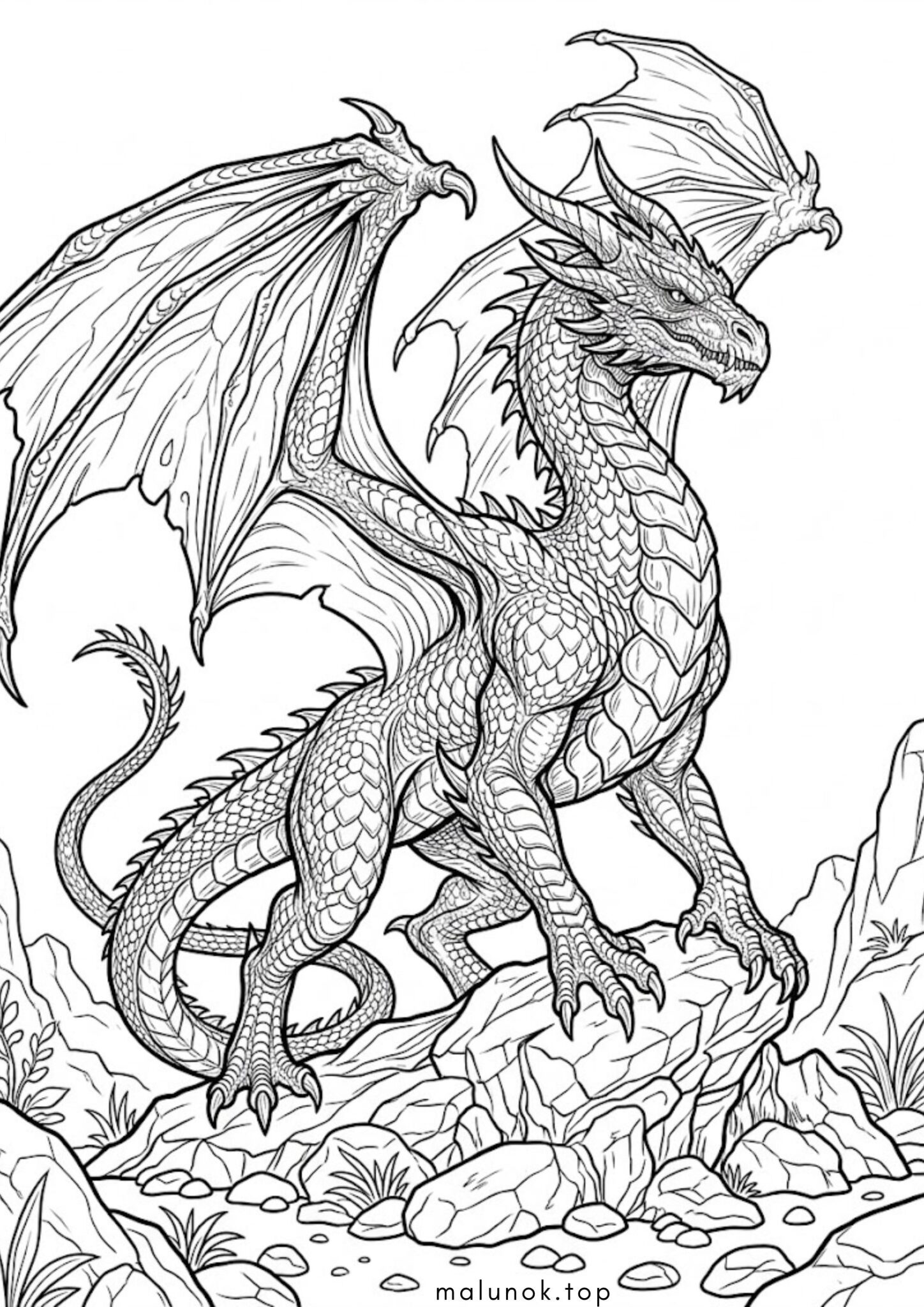 Раскраска Шикарний дракон Раскраска Шикарний дракон