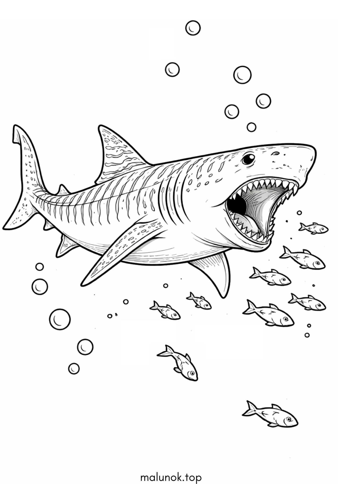 Раскраска Тигрова акула