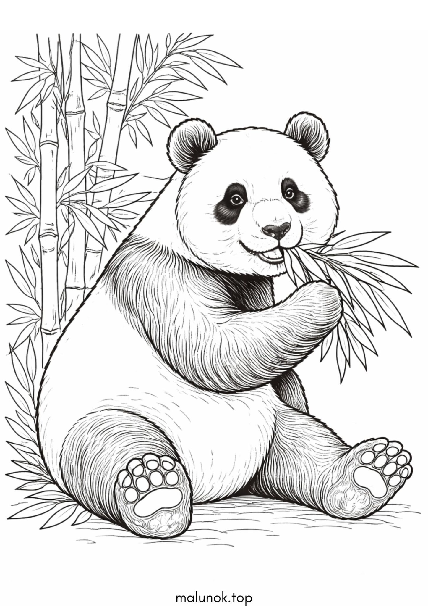 Раскраска Ведмедик панда Раскраска Ведмедик панда