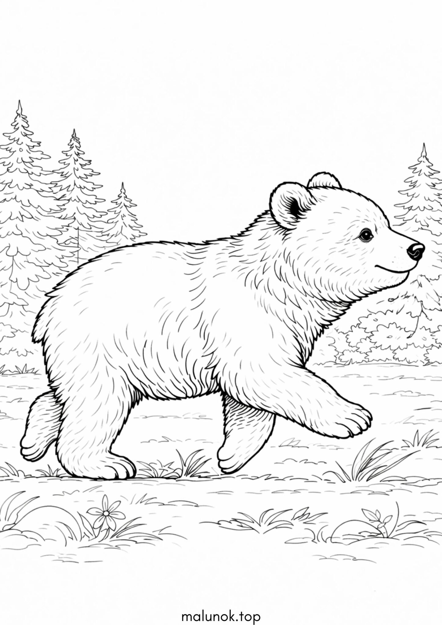 Раскраска Ведмежа Раскраска Ведмежа