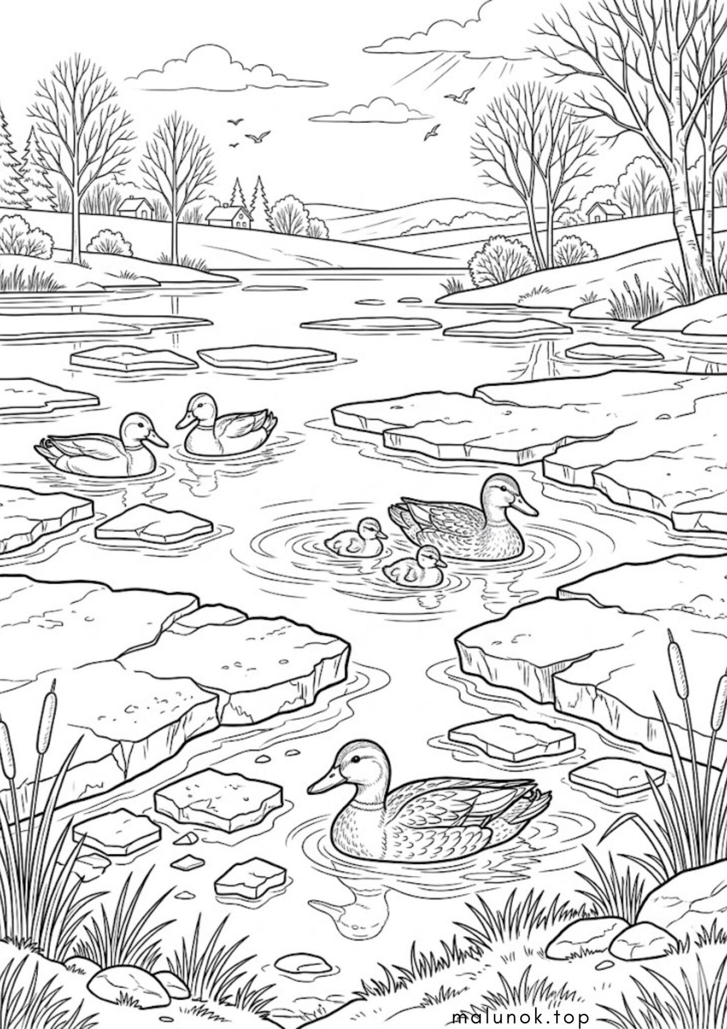 Раскраска Весна – качки повернулись на озеро