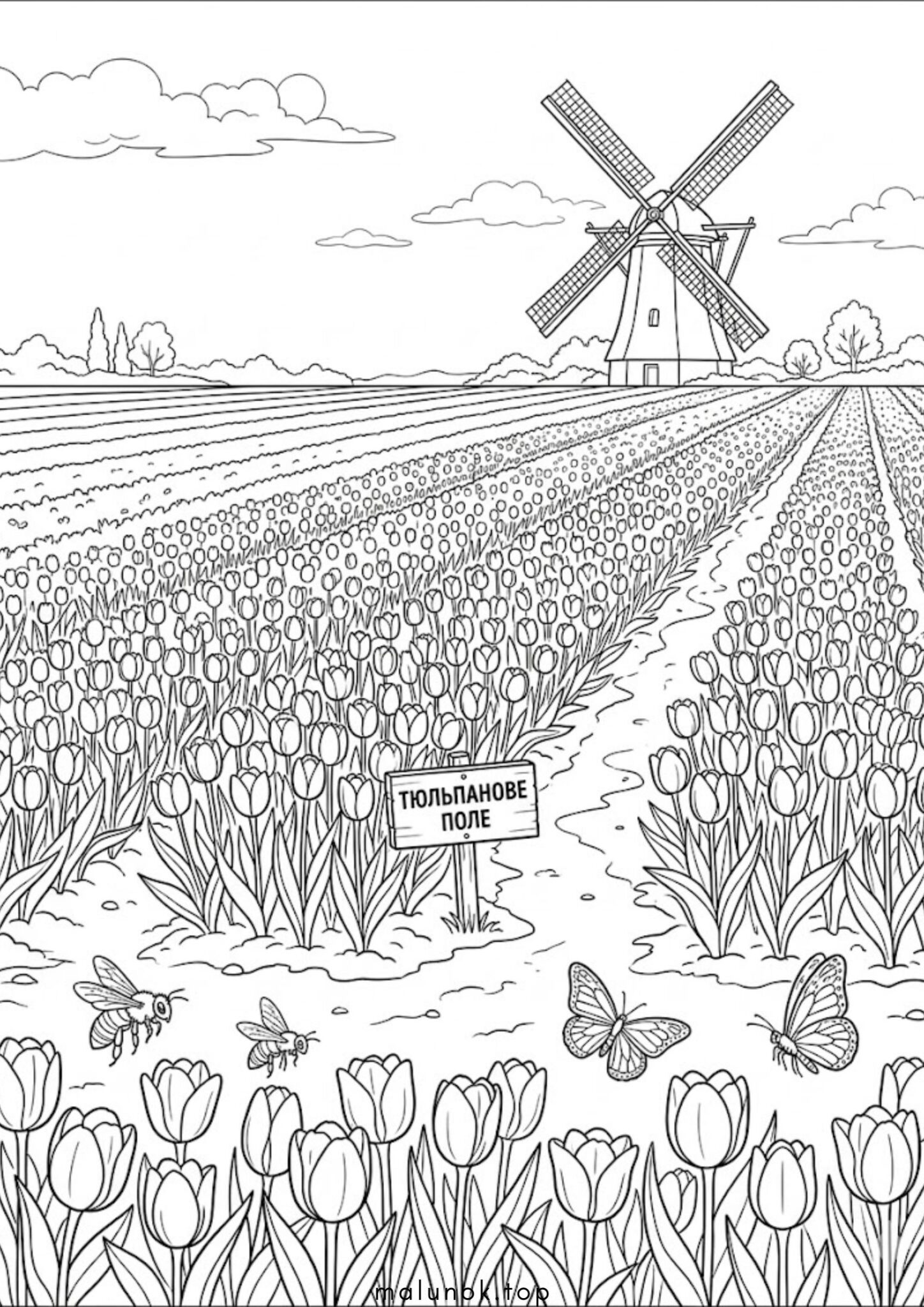 Раскраска Весна: тюльпанове поле