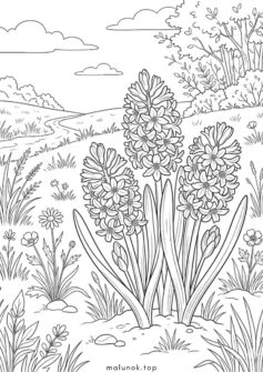 Весняні квіти – гіацинти