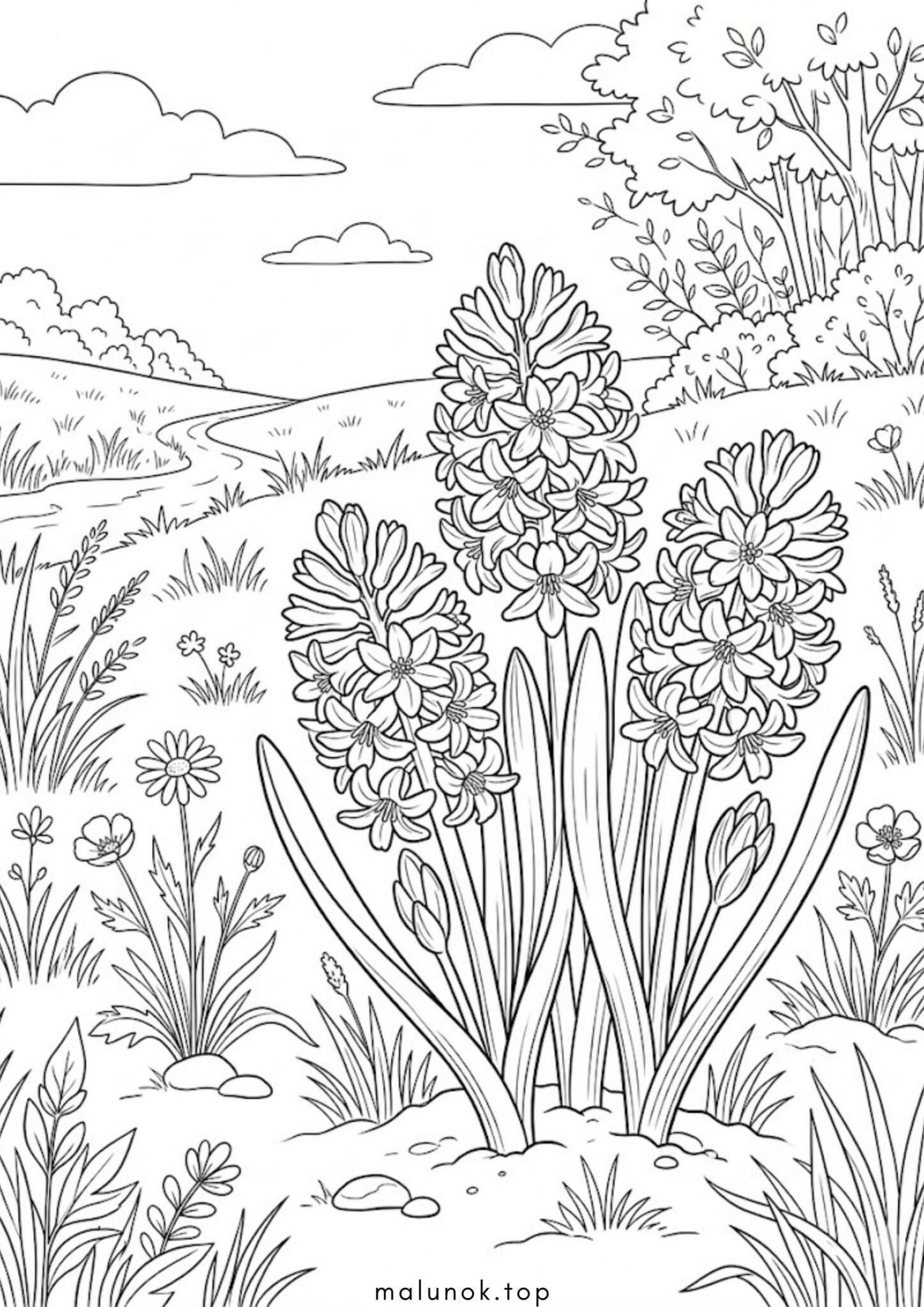 Раскраска Весняні квіти – гіацинти