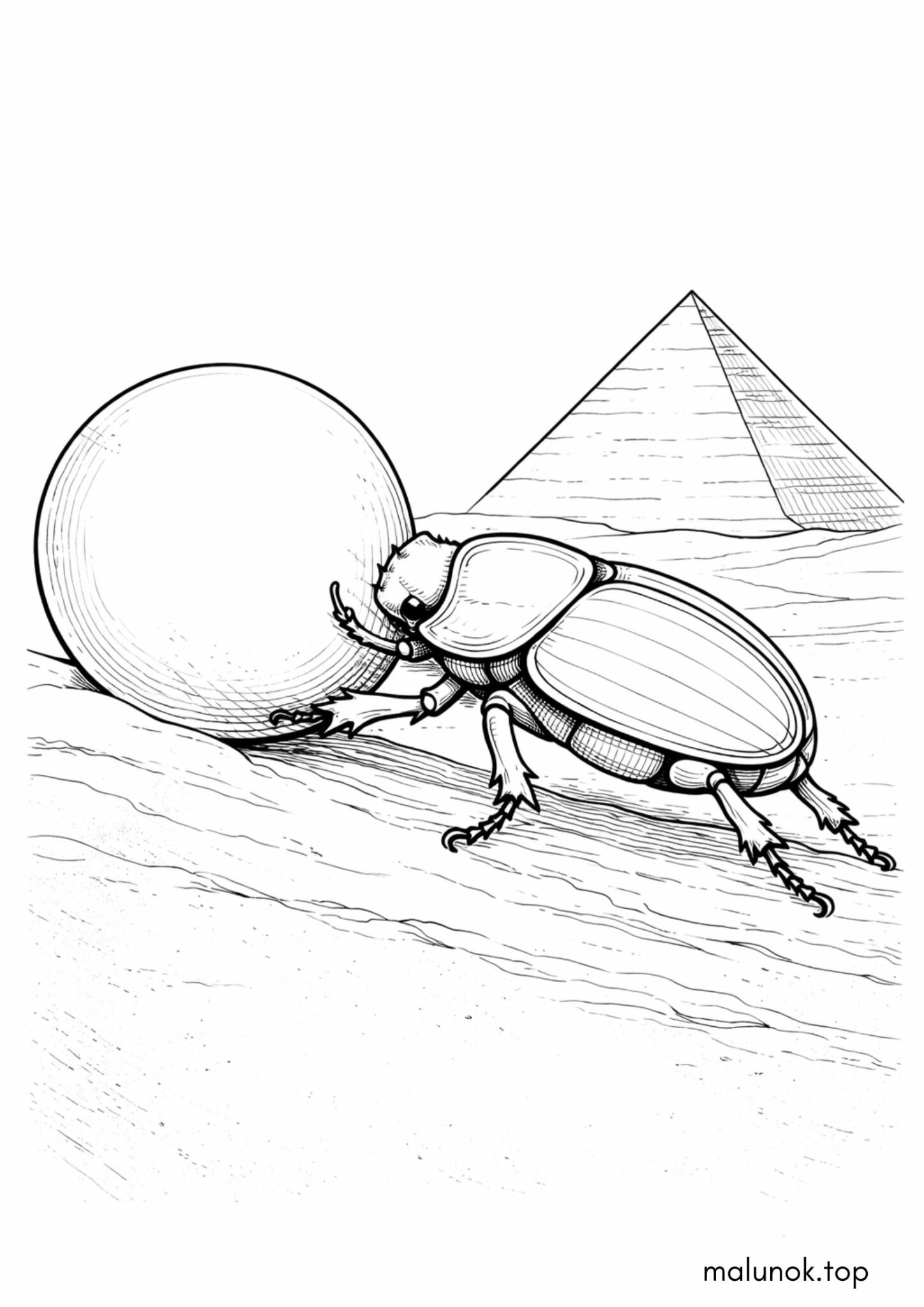 Раскраска Жук Єгипетський скарабей