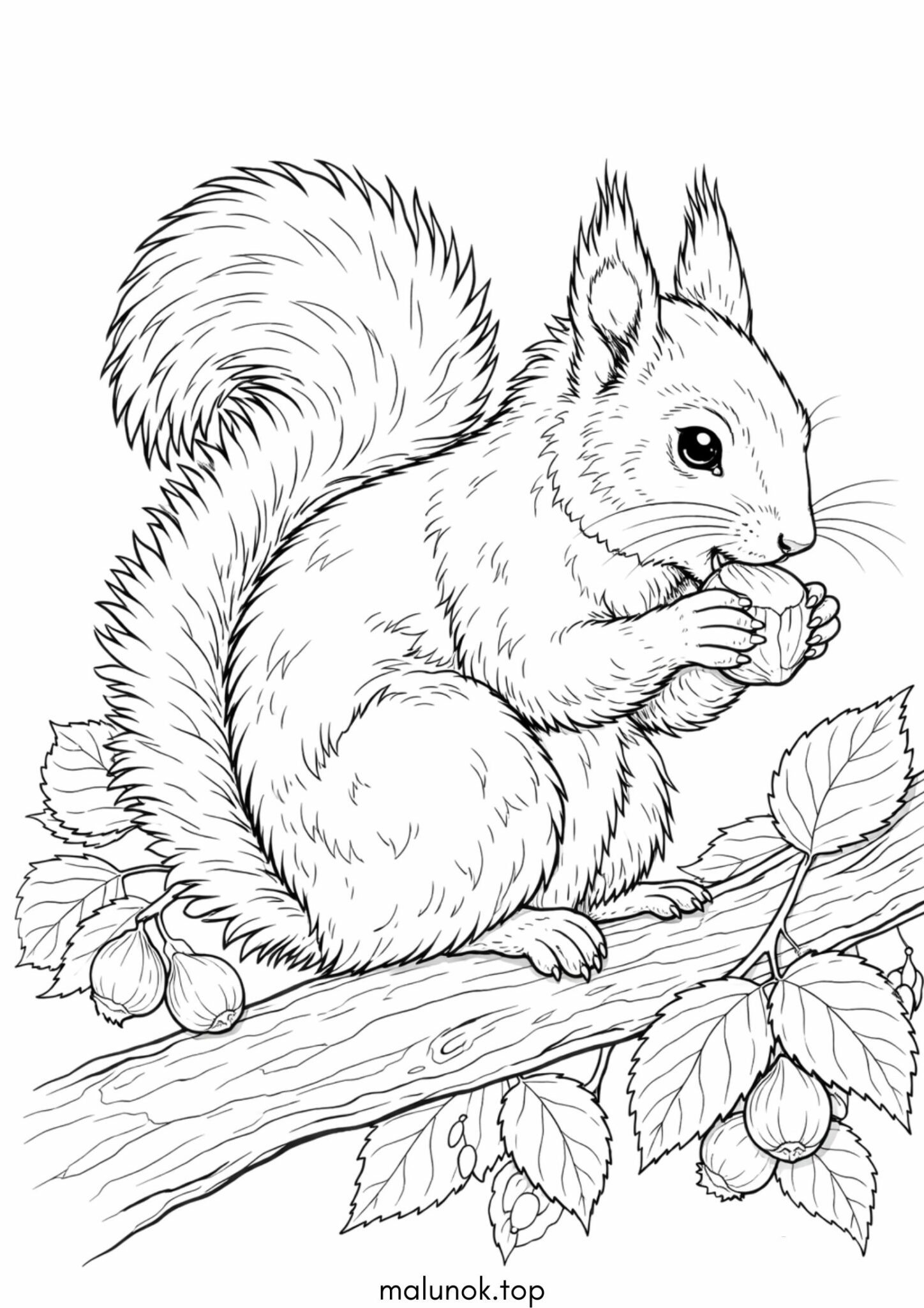 Раскраска Білочка