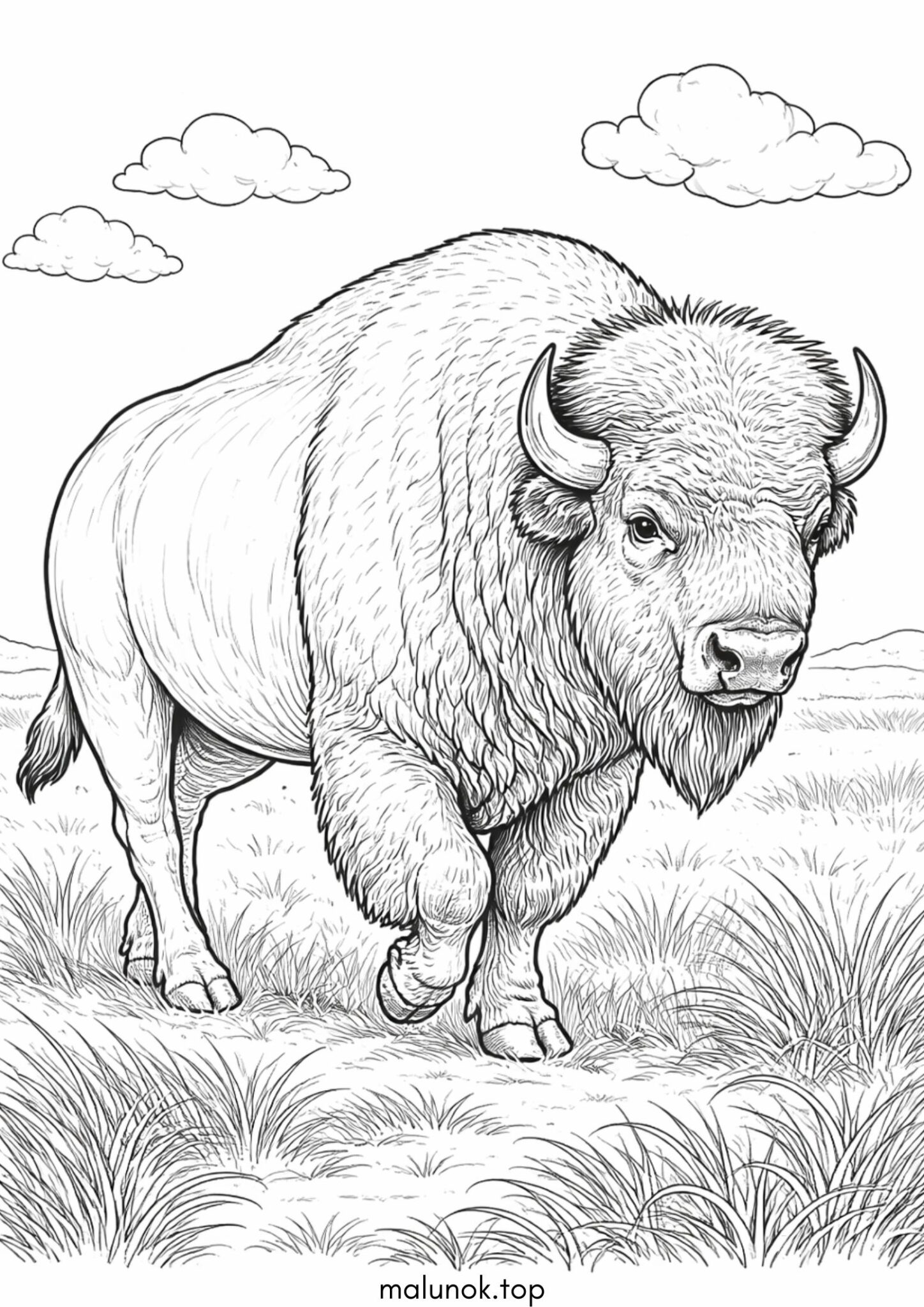 Раскраска Бізон