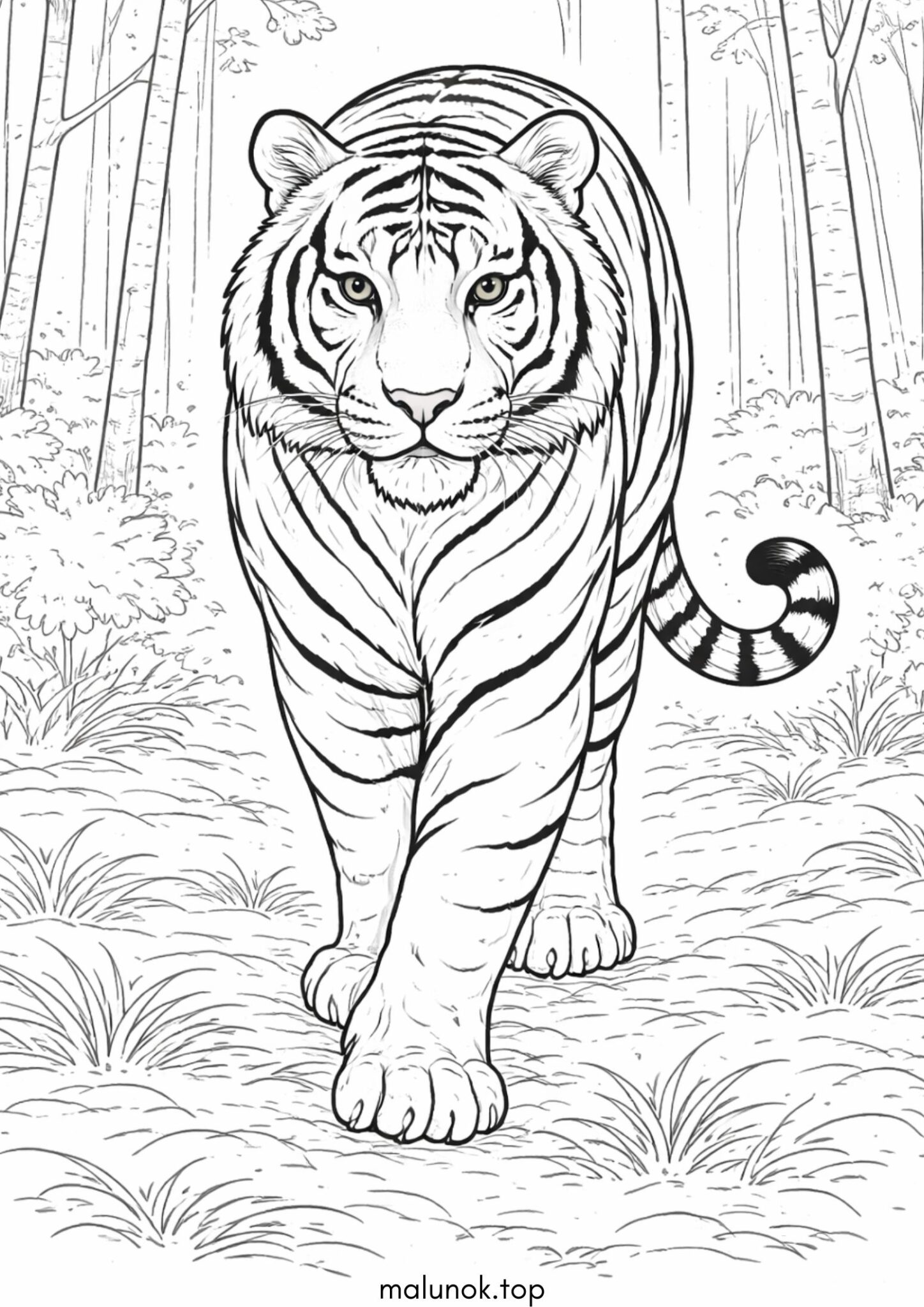 Раскраска Дикий тигр