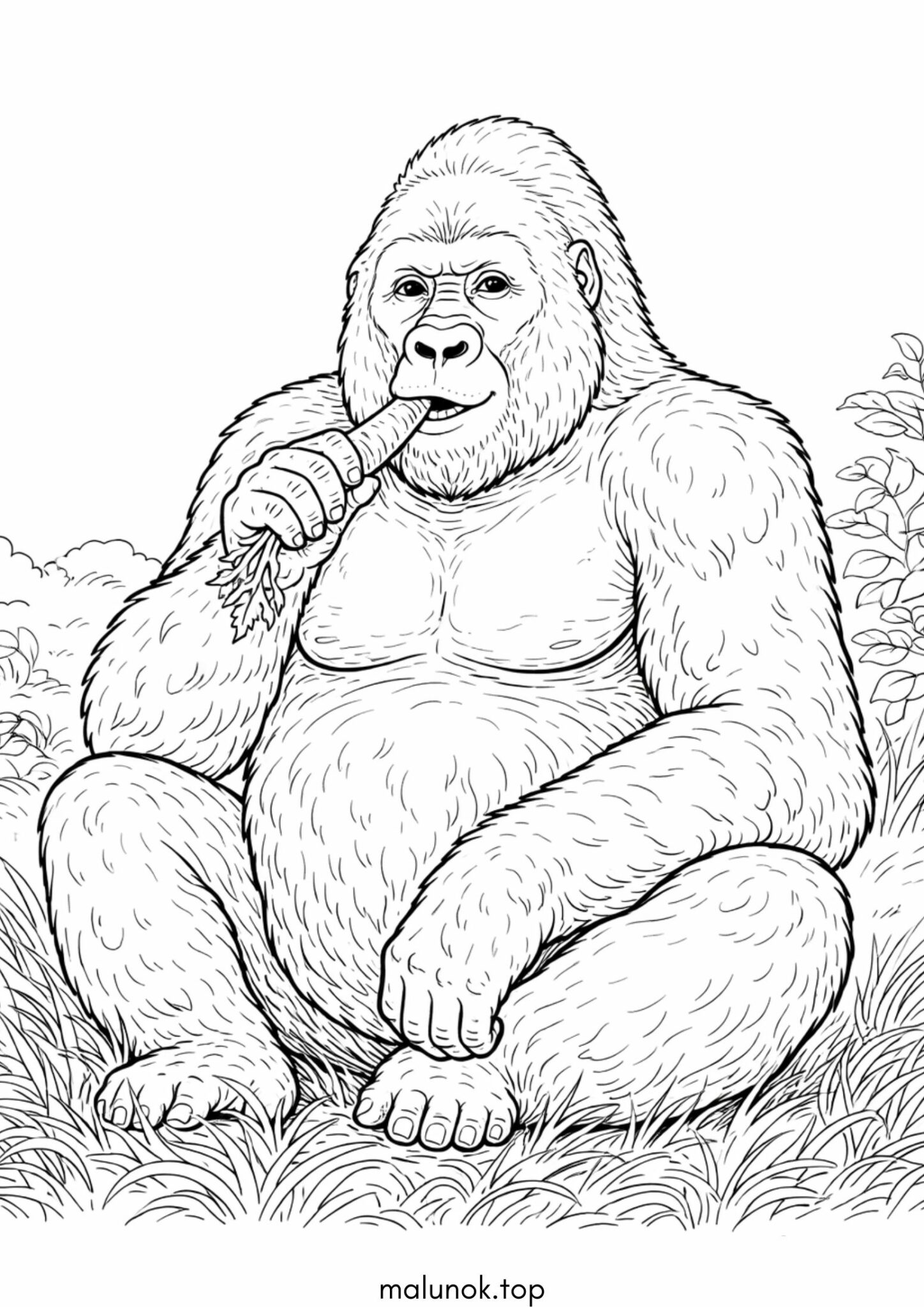 Раскраска Мавпа – Горила