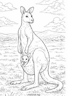 Кенгуру з дитиною