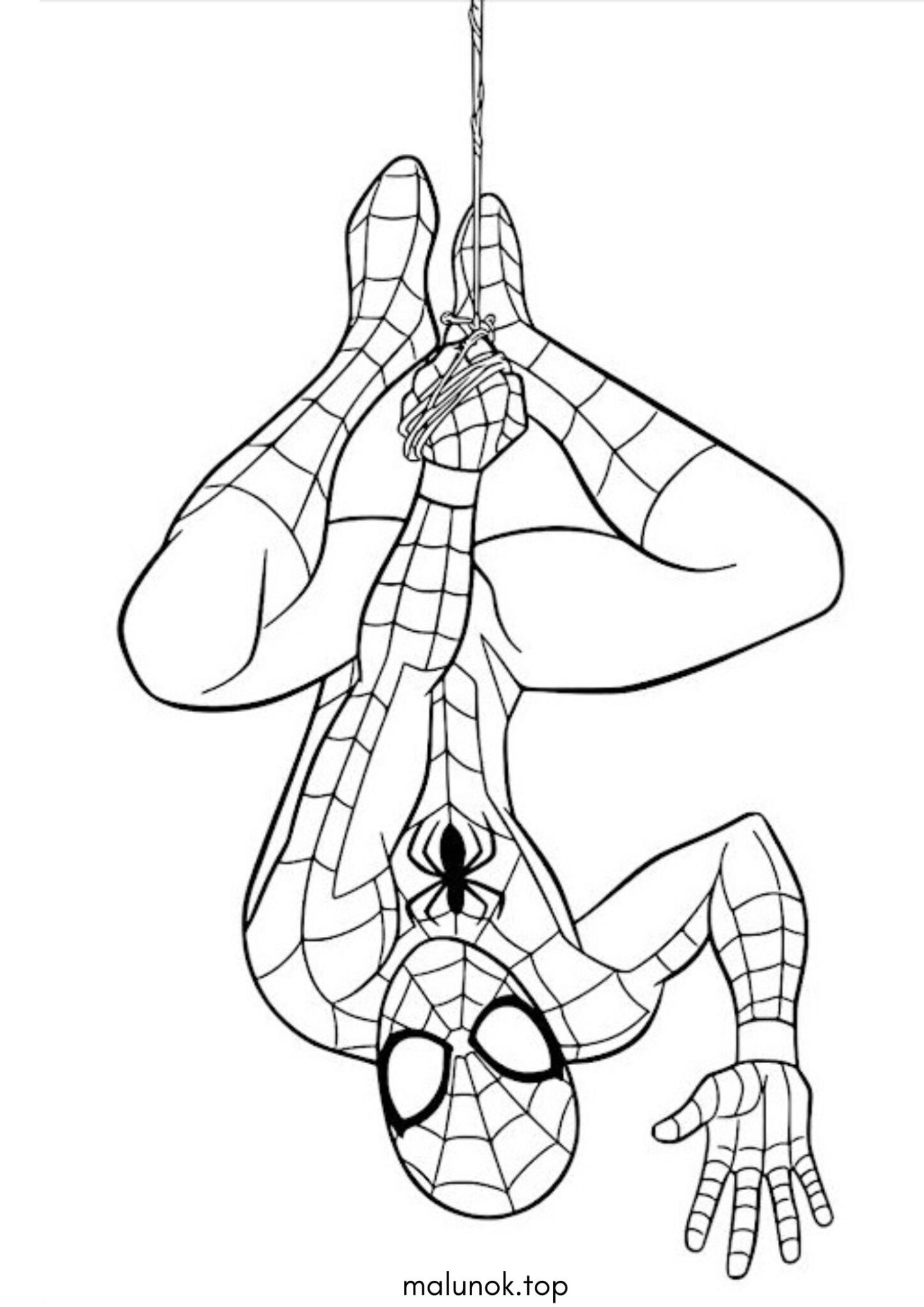 Раскраска Людина-павук висить на павутині