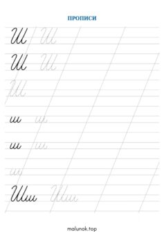 Прописи літера Ш – велика та мала