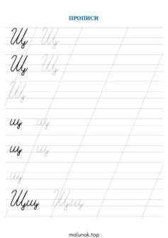 Прописи літера Щ – велика та мала