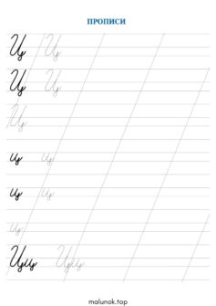 Прописи літера Ц – велика та мала