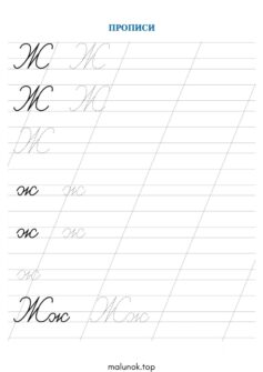 Прописи літера Ж – велика та мала