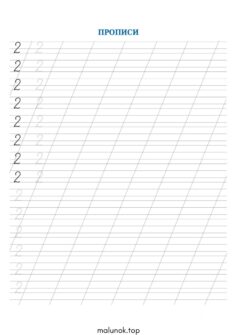 Прописи цифри 2 (два)