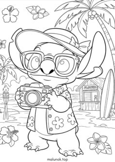 Стіч з фотокамерою