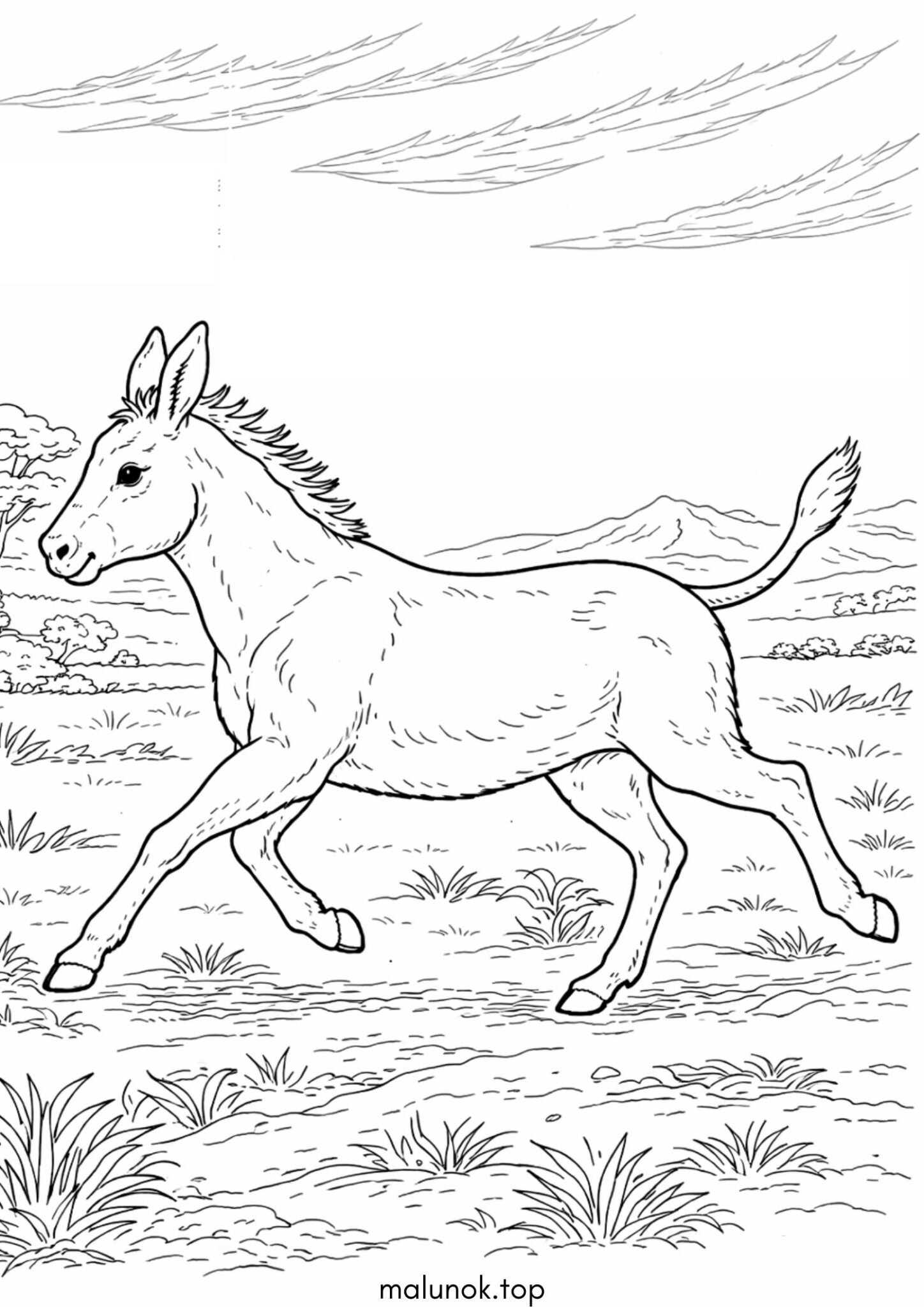 Раскраска Віслюк