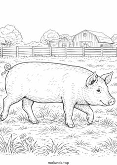 Свійська тварина – свиня