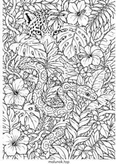 Тропічний ліс