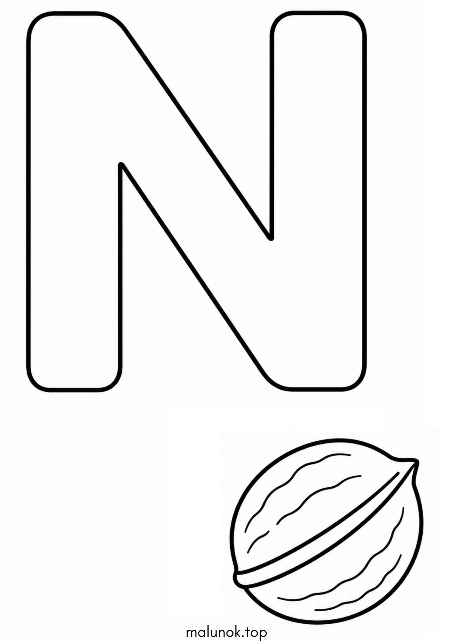 Раскраска Літера N (буква) – Nut Раскраска Літера N (буква) – Nut